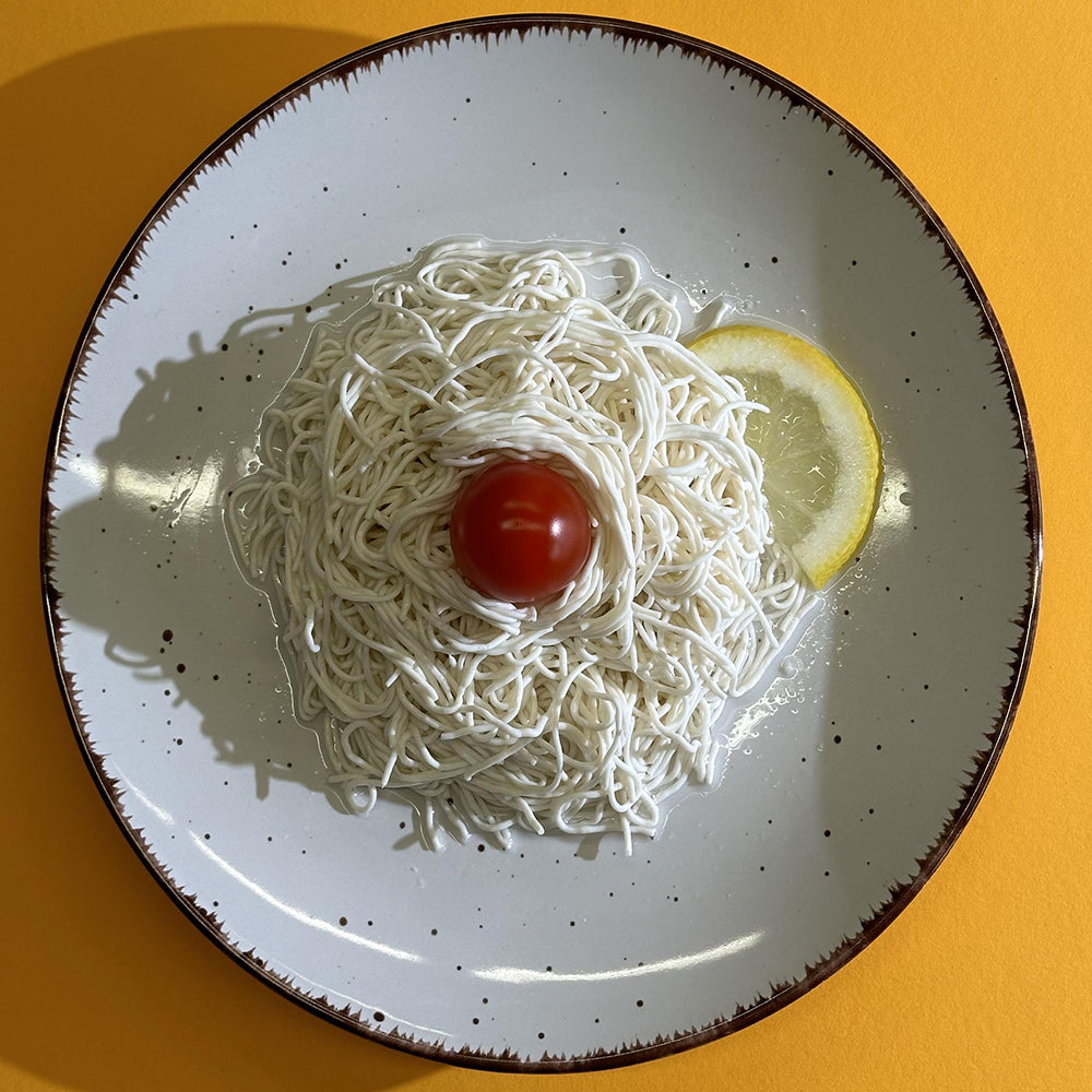 Elf-Family 48er pack Tofu-Nudeln - Instant Low Carb & hoher Proteingehalt Diät Box für Fitness-Rezepte 1 Monat