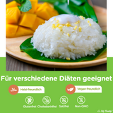 Elf-Family Instant Thai Klebriger Reis Dessert- Kokos Geschmack aus Thailandia - Fertiggerichte für Mikrowelle in 1 Min - 100% Natürlich Thai- Glutenfrei/Vegane/Kalorienarme- 6er Box 