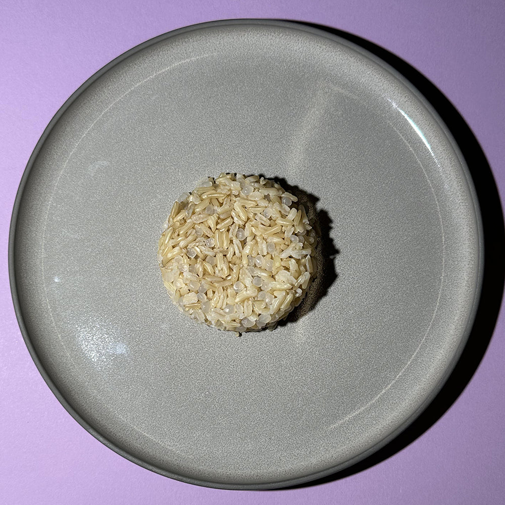 Elf-Family Brauner Jasminreis Konjak Reis Bowl - für Vegan Diät, Ketogene Ernährung, Low Carb Rezepte, Mahlzeitenersatz