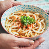 Elf-Family Probier-Pack 6*100g | Konjak in Form von Spaghetti, Reis und Udon | Low Carb Diät